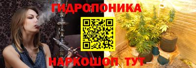 соль ск Гусев