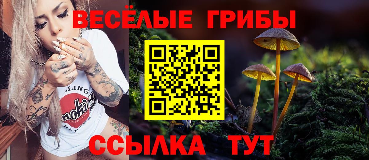 Можга  Галлюциногенные грибы Psilocybe  Вход с VPN 